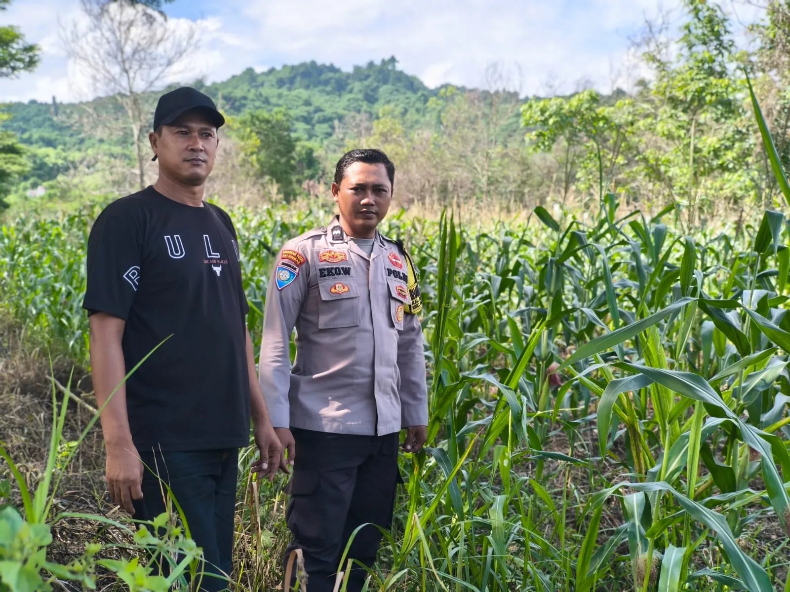 Polresta Samarinda Intensif Pantau Budidaya Jagung, Perkuat Program Ketahanan Pangan Nasional