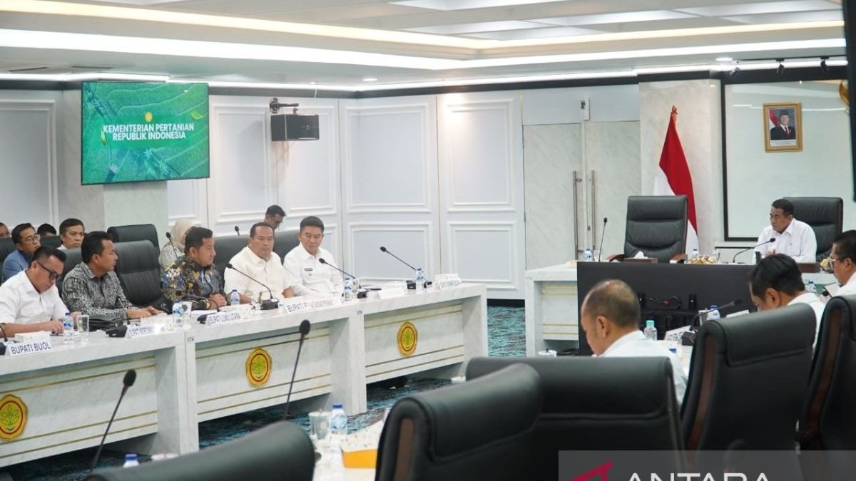 Ketahanan Pangan Penajam: Kemandirian Daerah atau Proyek Instan IKN?