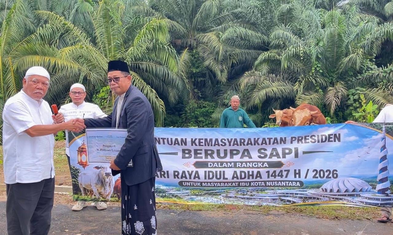 Distribusi Sapi Kurban Presiden Prabowo di IKN: Simbolisme di Tengah Kesenjangan?