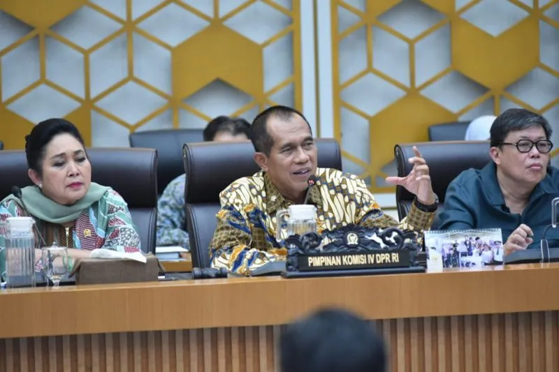DPR Ingatkan Narasi Swasembada Pangan Jangan Didistorsi