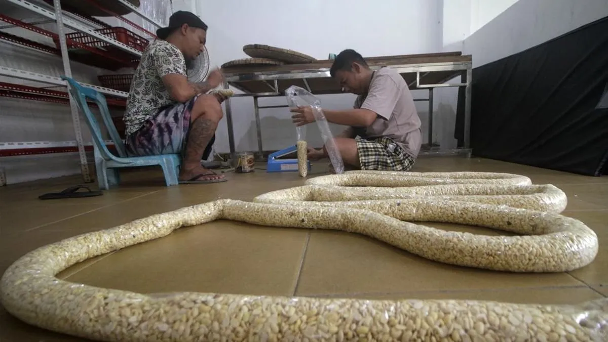 Kritik Pelatihan Keterampilan Lapas Surabaya: Solusi Mandiri atau Formalitas?