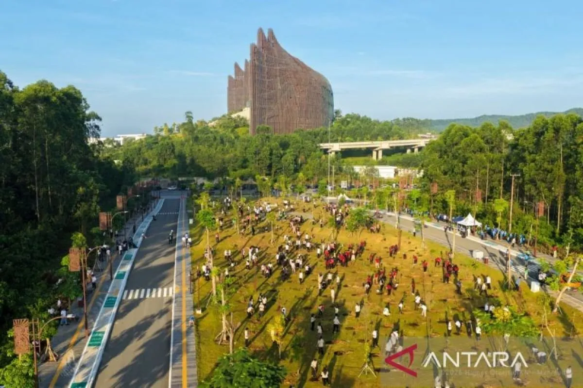 Kritik Kebiasaan Tanam Pohon di IKN: Upaya Ekologis atau Sekadar Kosmetik?