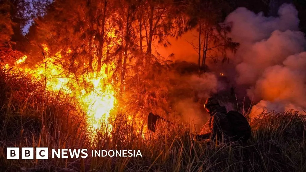 Karhutla 2026 Meluas Akibat El Nino Godzilla dan Ulah Manusia
